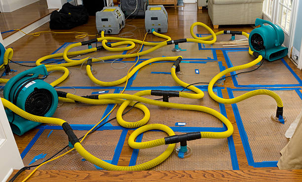 Professional Basement Flood Cleanup technician working in Eagle, CO
